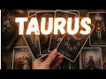 TAURUS TWO PEOPLE DESIRE YOU ONE IS YOUR TRUE MATCH WHO WILL YOU CHOOSE IN LOVE