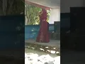 Download Lagu Srikandi grib jaya PAC Bayah Yessi ,putri BPK pembina BPK anda