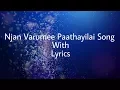 Download Lagu Theeram | Njan Varumee Paathayilaai Song With Lyrics
