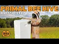 Primal Bee Hive Starter Kit Unboxing Setup Episode 1