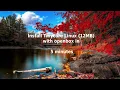 Install Tinycore Linux core v9 0 with Openbox in 5 minutes