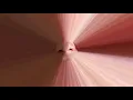 The Hauchzart Ensemble  feat. Antonella Eye Porcelluzzi: Come Tu Dei - Come Today