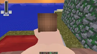 i added woman to minecraft jenny no blurr 