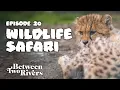 Between Two Rivers Episode 20 - Wildlife Safari