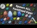 Spawn ALL Fertilized Eggs - ARK Survival Evolved