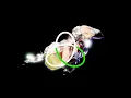 Download Lagu Röyksopp - 'Stay Awhile (feat. Susanne Sundfør)' (Official Visualiser)
