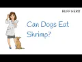 Can Dogs Eat Shrimp