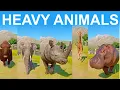 Download Lagu Heavy Animals Speed Race in Planet Zoo included Bornean Elephant, Giraffe, Bison, Rhinoceros