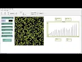 Firefly synchronization strategy - Both