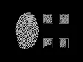 All Diamond Casino Heist Fingerprint Answers