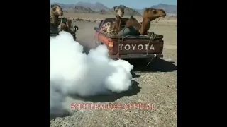 ۲۵ اکتبر ۲۰۲۱ 