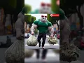 Download Lagu Mama!!papa pulang bawa uang sekarung ni#cat #catlover #cartoon #comedy #shorts #funny