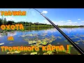 Download Lagu Ловля БОЛЬШИХ КАРПОВ и САЗАНОВ на ПРОСТУЮ СНАСТЬ ! Рыбалка на УДОЧКУ с БОКОВЫМ КИВКОМ .