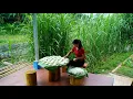 Make cassava cakes, harvest papaya to sell at the market, build a farm