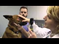In the Exam Room Preventive Care Visits