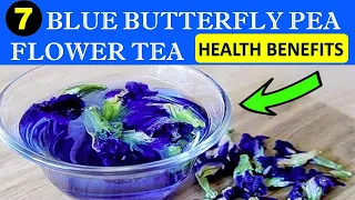7 incredible health benefits of the blue butterfly pea flower tea