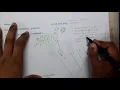 GATE CSE 2019 Q C PROGRAMMING Data Structure GATE Insights Version CSE