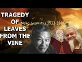 The Voices Of Iroh Mako Iwamatsu Greg Baldwin Avatar The Last Airbender Essay