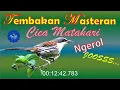 Download Lagu Tembakan Masteran Cica Matahari Ngerol | Gacor  |#kicauburung #kicau #cicamatahari #pentet #cendet