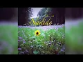 Reynmen - Nadide (Official Audio)