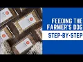 The Farmer s Dog Step-By-Step Feeding Tips