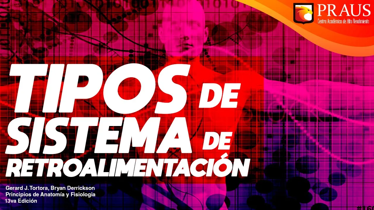 Sistemas de Retroalimentación