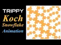 Fascinating Koch Snowflake Fractal Animation