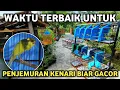 Lagu TIPS PERAWATAN DASAR KENARI BIAR SEHAT DAN GACOR TERUS