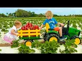 Lagu Chris and Mom learn to harvest berries at the farm - funny stories for kids