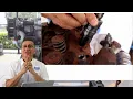 Compression Test Diesel Engine