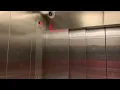 Epic motor on a Minnesota hydraulic elevator with Innovation Bruiser at Target in Oak Lawn IL