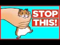 18 Things Hamsters Hate