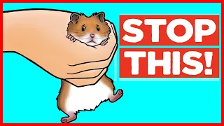 Download 18 Things Hamsters Hate MP3