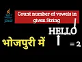 Java program to count number of Vowels in given String