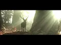 RIOPY - Fixed Point In Time (Official Music Video)
