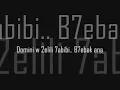 Fadl Shaker  ft. Elissa -Juwa el rou7 09 Lyrics
