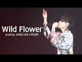 220417 위아이(WEi) 장대현- Wild Flower(prod.dy JANG DAE HYEON) @2022 WEi CONCERT [FIRST LOVE]