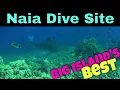 Big Island Scuba Diving - Naia Dive Site Kona Honu Divers