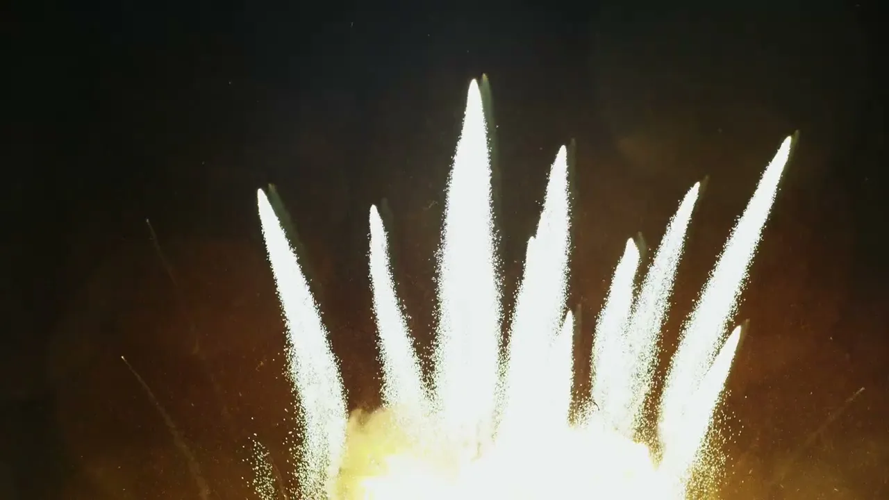 Video Vorschau
