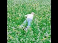 Wind Tempos - Porter Robinson