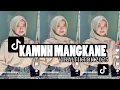 Download Lagu DJ KAMNH VIRALTIKTOK MANGKANE