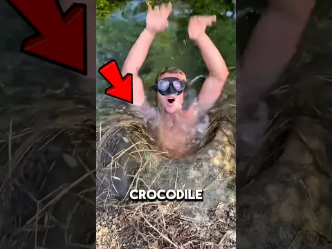 He Crawled Into a Crocodile Tunnescary encounterl 😱