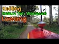 Download Lagu Wisata Kebun Teh Lawang Malang 2017 | Keliling Naik Odong-odong