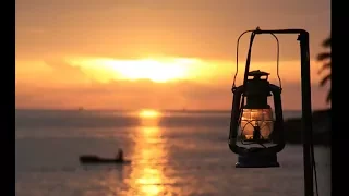 لا تشتكي وتلوم   عمر الحزن ميدوم  تصميم جميل         دندنها