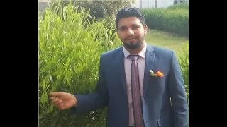 يارب عبدك محتاج اليك   مصطفى عبدالفتاح دندنها
