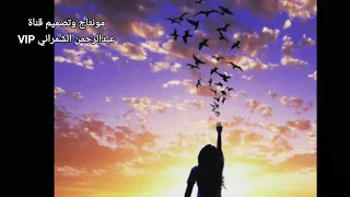 شيلة روحت مع مهب الريح دندنها