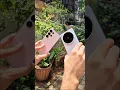Download Lagu Vivo X200 Ultra vs S25 Ultra Camera Test 🔥