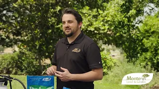 Monterey Dr Iron - Product Intro