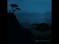 Suite bergamasque, L. 75: III. Clair de lune