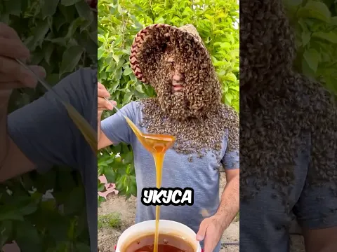Если ВАС УЖАЛИЛА ПЧЕЛА — НИКОГДА НЕ ДЕЛАЙТЕ ЭТО! 😱🐝